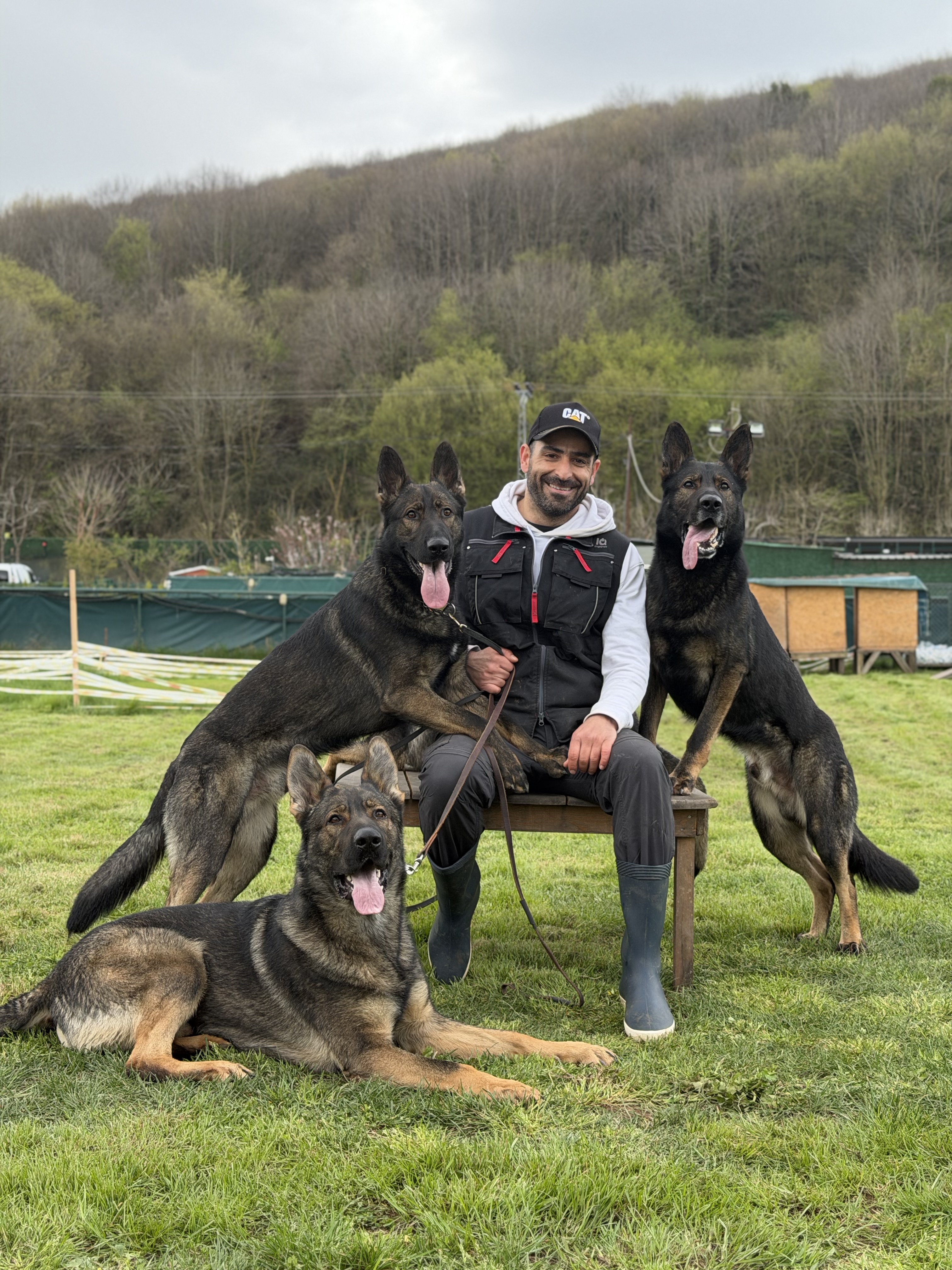 Köpek eğitmeni ve köpek eğitimi