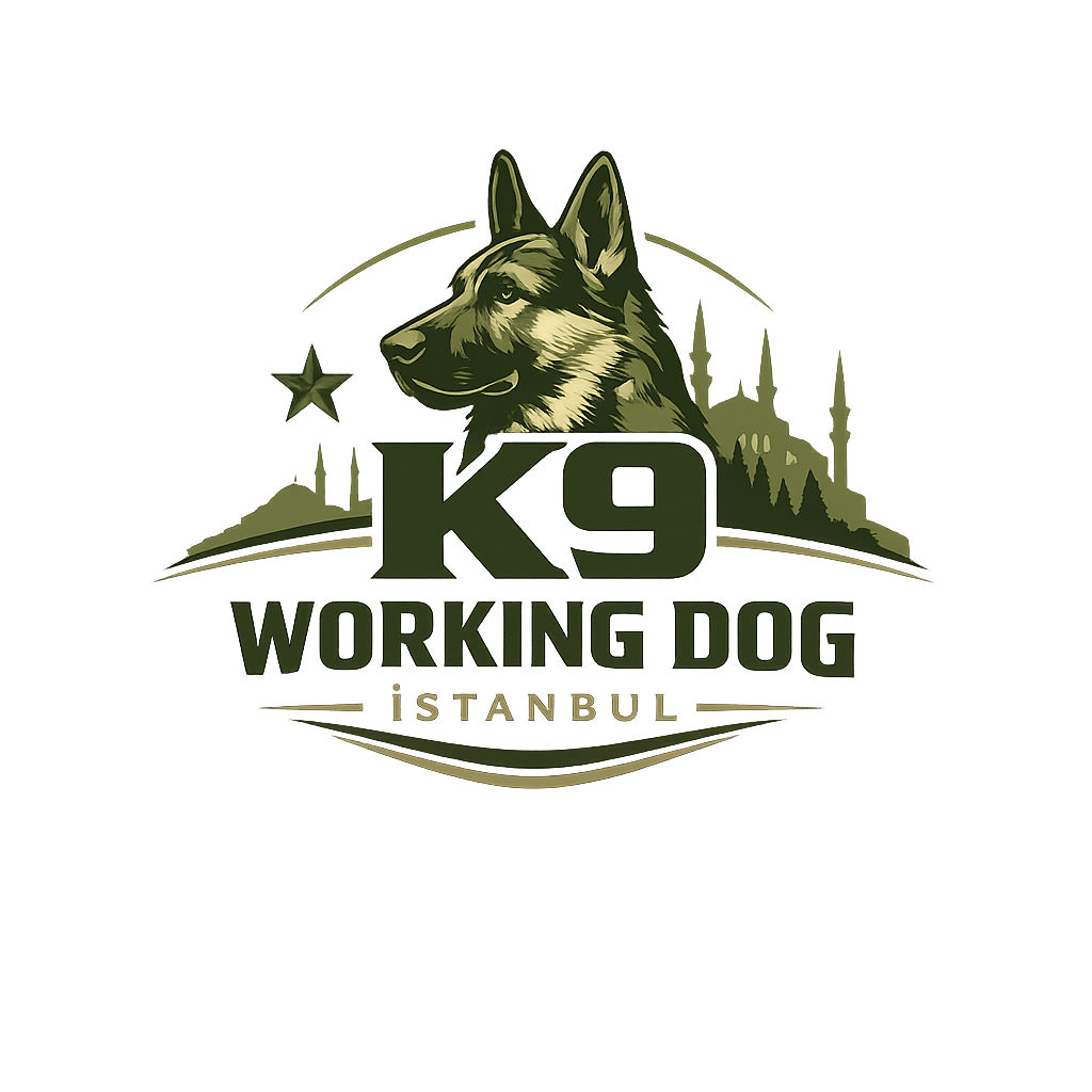 K9 Working Dog Istanbul logo